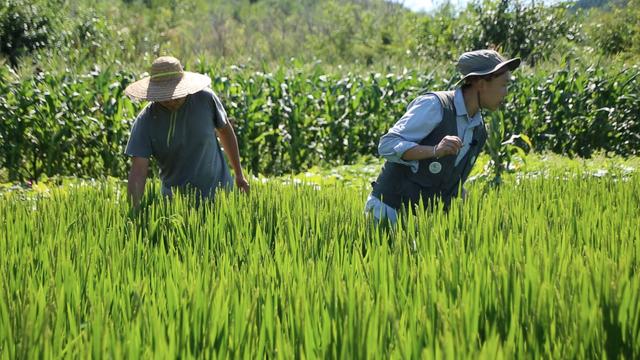 情侣住荒野7年租30亩地自耕自食