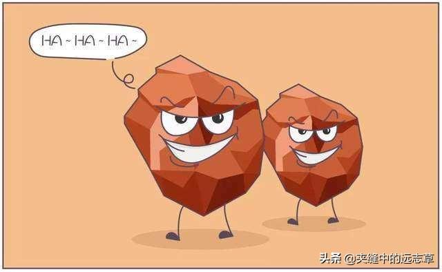 肝胆结石？讲九味中药，兵分三路，一路排石，一路疏肝，一路止痛