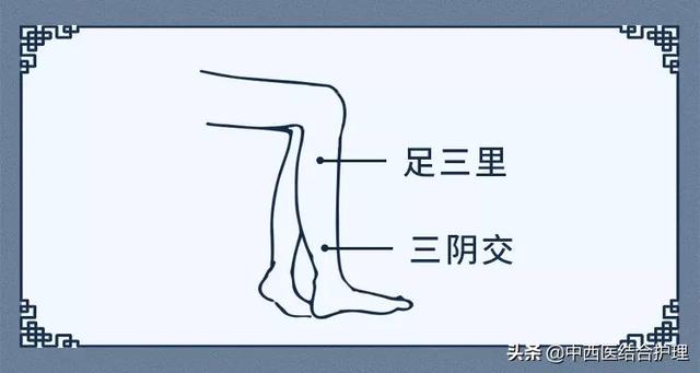 「护肾科普」护肾延衰，重在医和养，功在补虚和堵漏