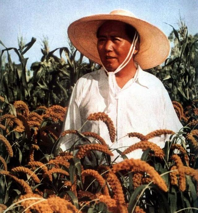 毛主席一行人从机场回来，临时决定下馆子，结账时发现谁都没带钱
