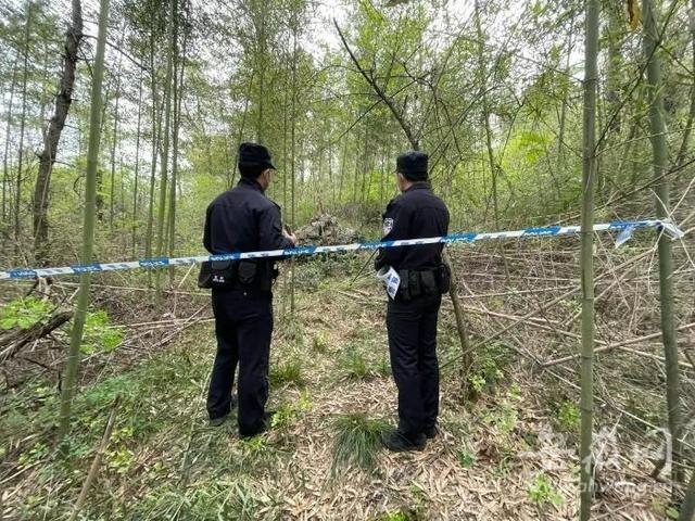 严查！男子上山扫墓发现鳄鱼，警方鉴定后：竟然是非洲尼罗鳄