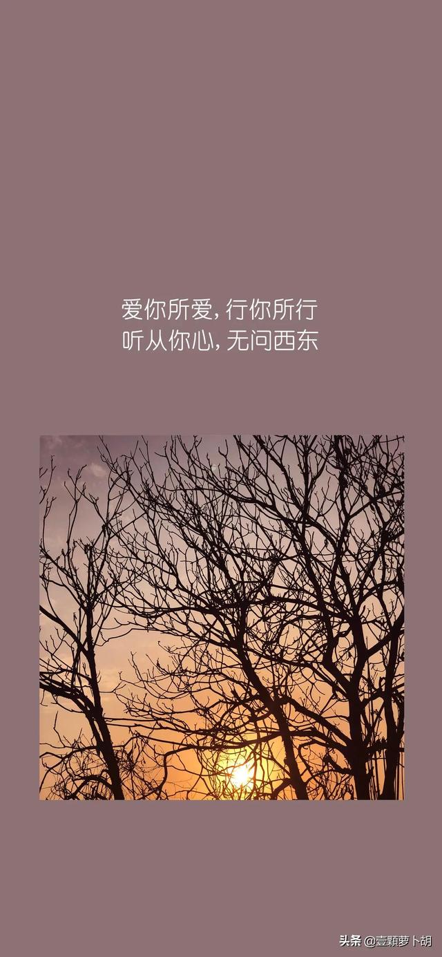 总有一句你喜欢的文案，我最喜欢第八句