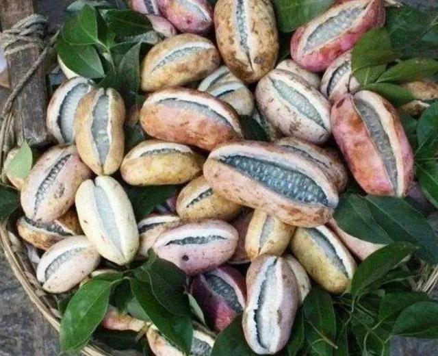 其中有许多热带亚热带水果,你吃过的有哪些?见过的有哪些?