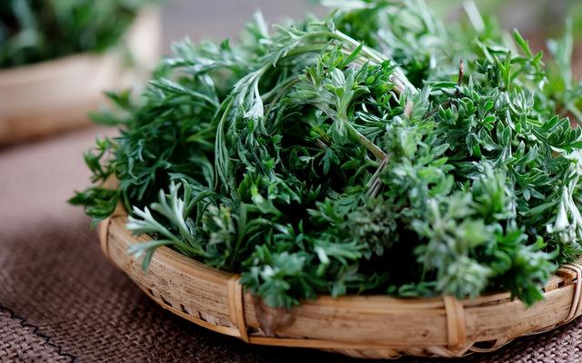 清明前后，家中要多做这3种野菜，孩子吃不够，补充营养长得快