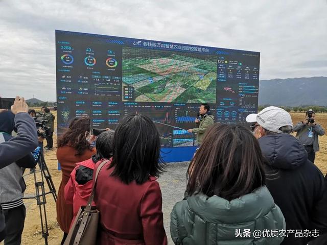 碧桂园又有大动作！自主研发无人拖拉机收获机亮相演示，无人化农场概念落地成真