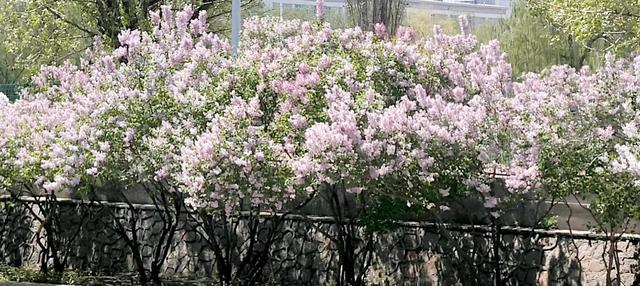 这些温柔又坚定的句子，总会让人轻易沦陷