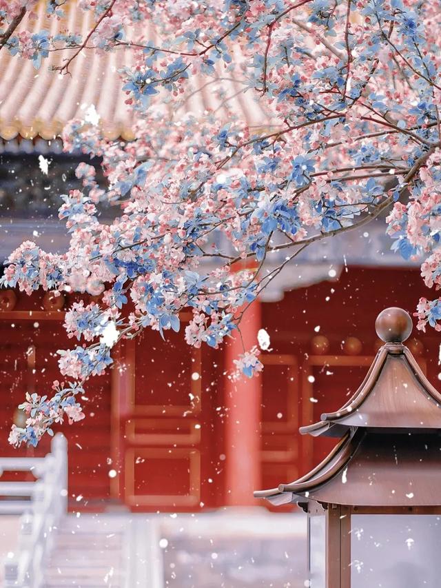 图源网络侵删了解古风本文关键词:最美的海棠花的诗句是什么,最美海棠