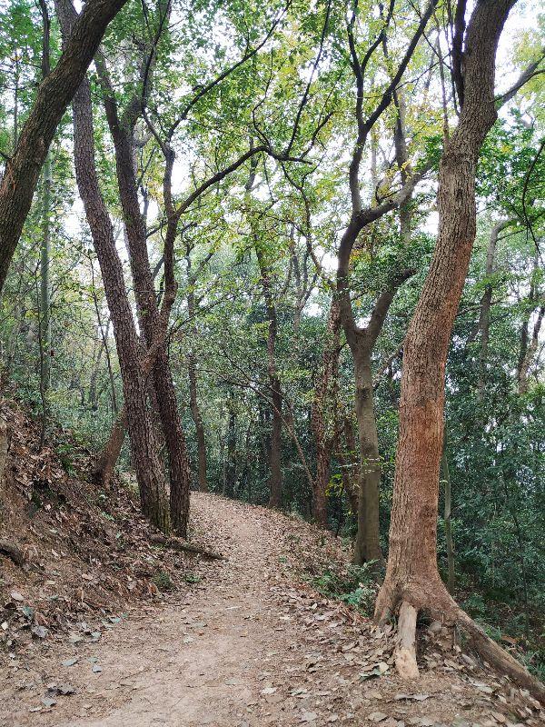 浙江這座178米小山，竟是皇城遺址？大多數人的杭州玩法，有遺憾
