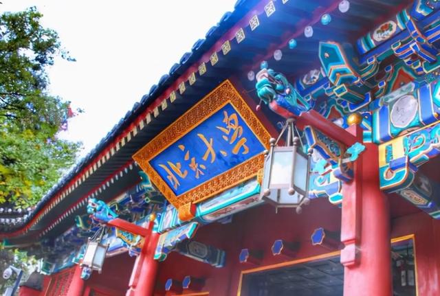 北大中文系教授116字微博事件持续升温，曾经辉煌的学习经历曝光