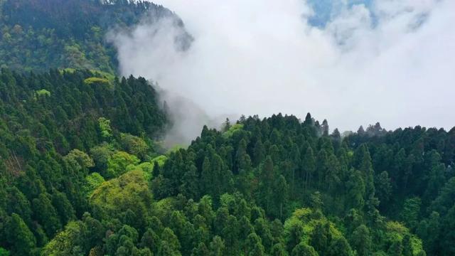 成都周边旅游景点