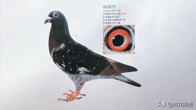 哈密进口螺旋洗砂机便宜的简单介绍