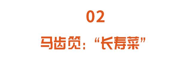 鲜嫩时是菜，晒干后能入药！这些好处多多的野菜可别错过