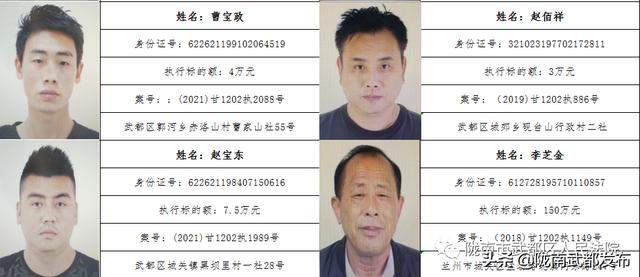 曝光! 武都区法院公布2022年第一批失信被执行人名单（172人）