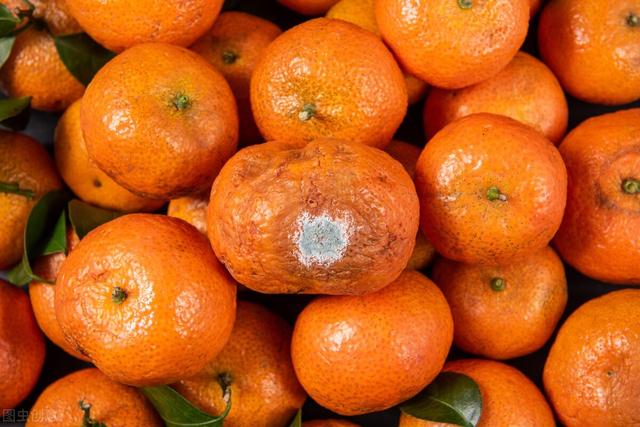 中国一年有457万人确诊癌症！听一句劝：这4种食物尽早撤下餐桌