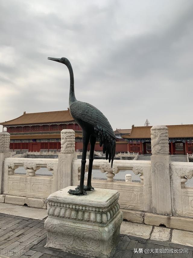 子欲养而亲不待！七旬老母苦寻儿子5年，父亲遗憾离世