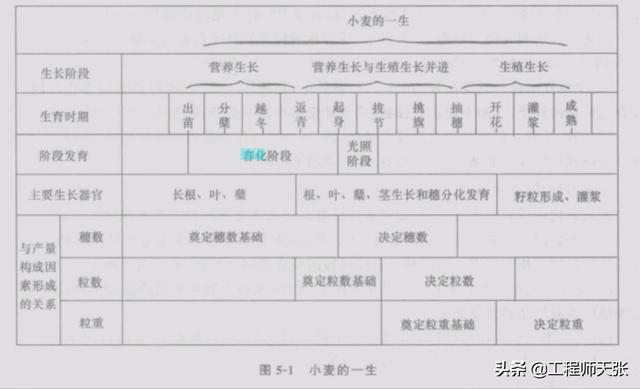 毁小麦青苗建光伏发电站，官方已调查清楚！但有件事不容忽视