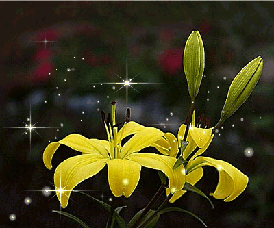 快乐常伴美丽的动态花朵，它代表吉祥和鸿运送给正在欣赏的人