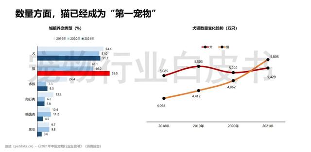 中国宠物