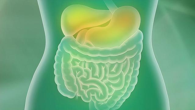 蚕豆和豌豆的区别在哪里？建议：食用时注意这2点，或有助健康
