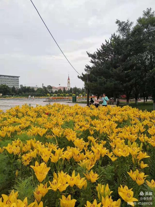 文章图片23