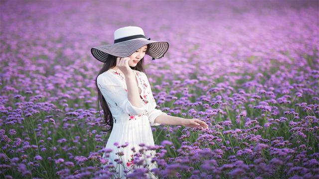 迟日江山丽，四月雅茶香