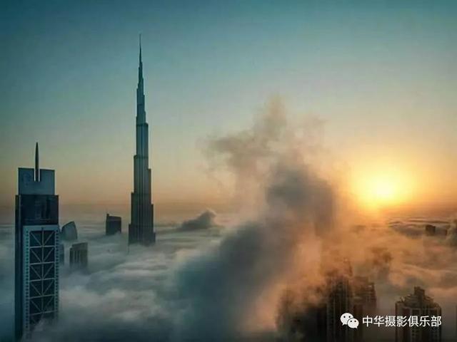 太美了！金奖摄影作品欣赏——