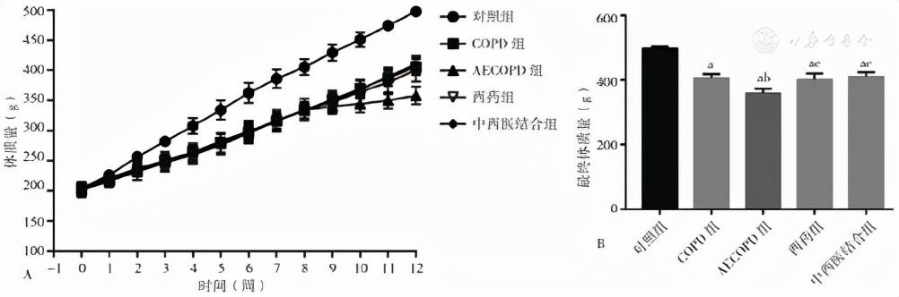 PM250破碎机重量