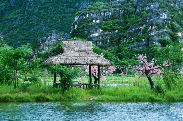 https://blog.sina.com.cn/s/blog_9766a3620102yz0x.html