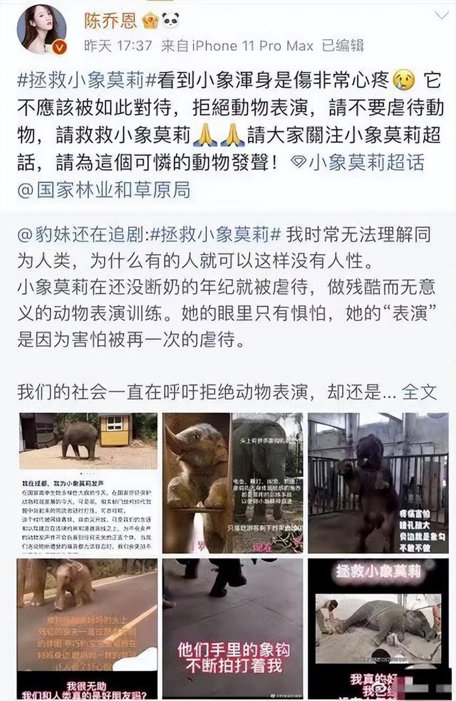 为陈乔恩小象莫莉发声，呼吁大家拒绝动物表演，由陈学冬、舒淇转发。
