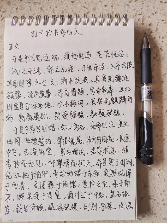 打卡抄写《上林赋》第四天