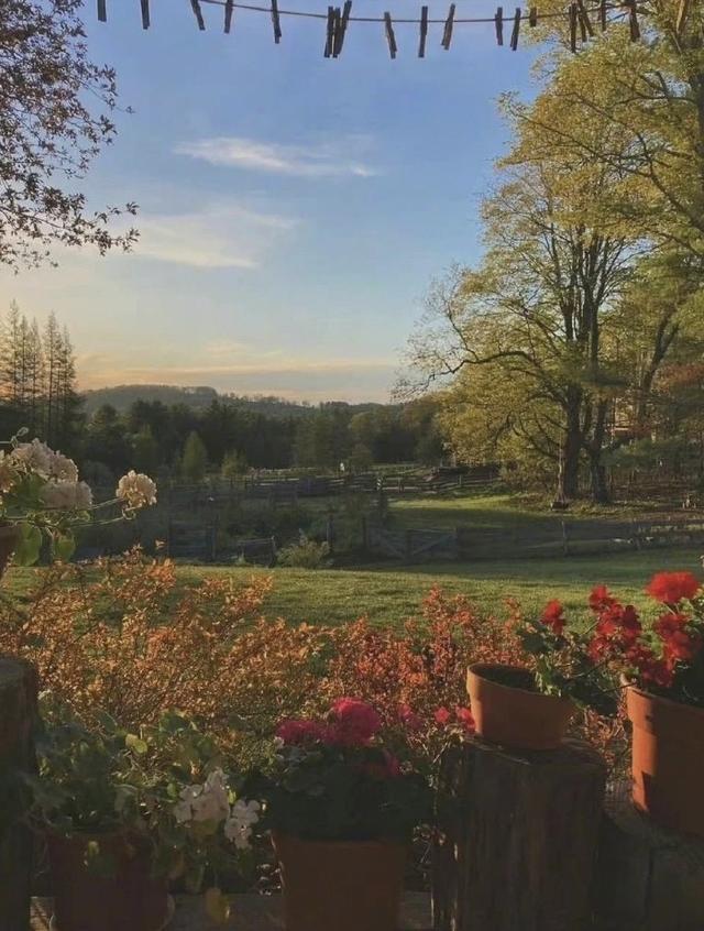 [苹果快乐星球语音群发]，微信怎么上传动态图到朋友圈