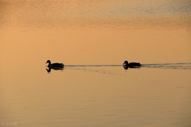 张仲景名方：麻黄连翘赤小豆汤，可清热止痒，能治湿疹、荨麻疹