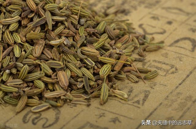 夏季当养心，心主血脉，气血瘀滞，则百病生，讲一个活血的小方子