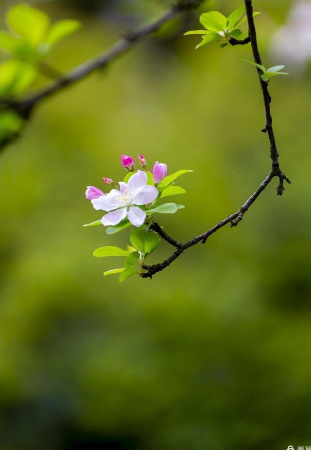 梦。。。。