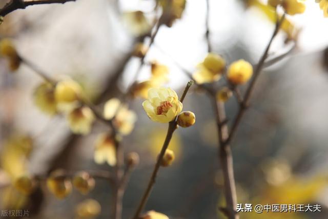 工作压力大，生活习惯差，肠胃虚弱，心脾两虚型ED，该如何调理？