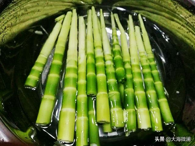 春分时节，建议老年人少吃补品，多吃“4种春菜”，平安幸福1整年