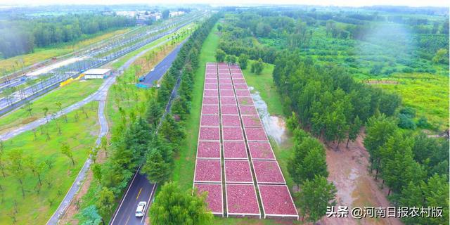 郑州临展搭建工程