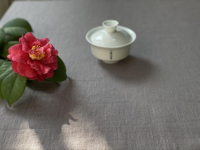 普洱洗砂机多少钱
