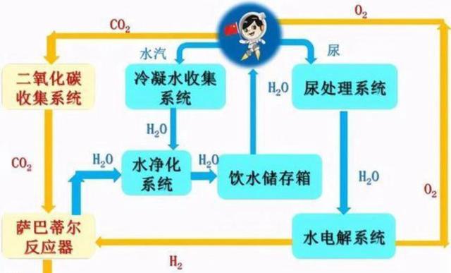 在太空6个月，航天员怎么处理卫生问题？回来身上是不是臭的？