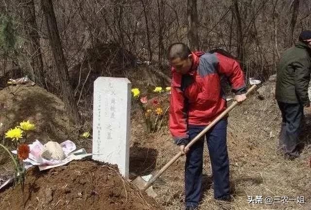 清明上坟扫墓，不栽一树，不带两种水果，禁忌做5件事，保佑平安