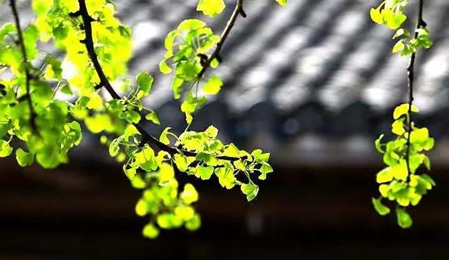 穿越生命的荒野