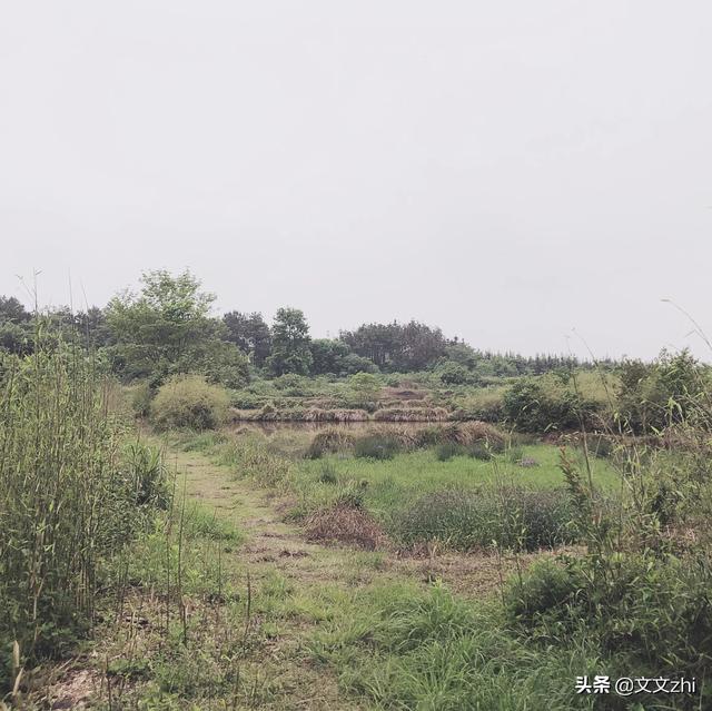 我的家乡 在农村