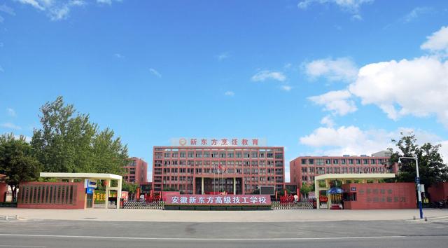 男生目前學什么技術好(男生學什么技術前途最好)