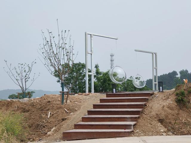 五月的微风摇晃春天的末枝，一切清新与明亮将会如期而至