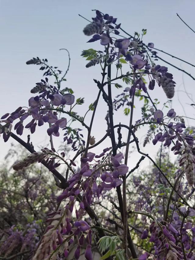 为什么有的人觉得写作太难
