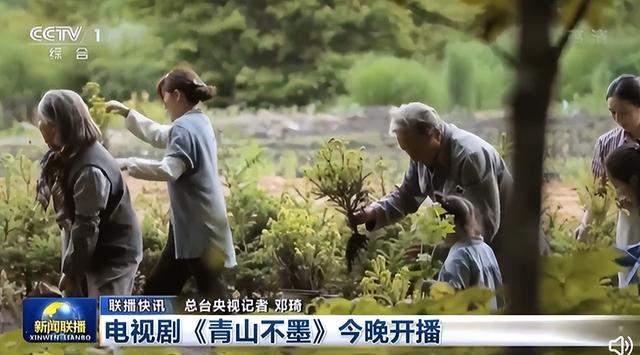 年代剧《青山不墨》有哪些看点