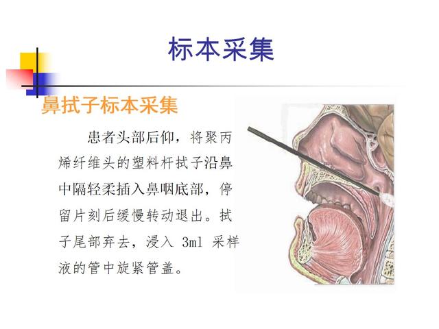 课件-新冠病毒核酸采样实践技能培训