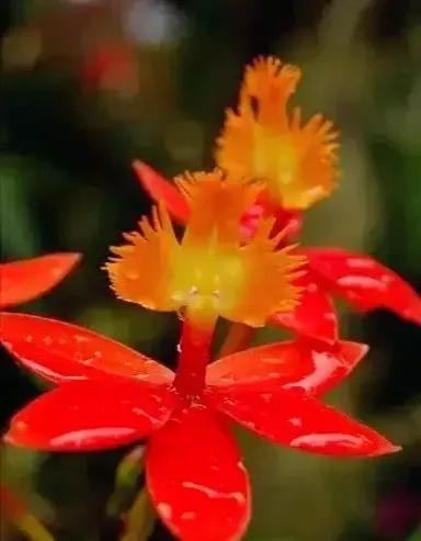 总有一朵花养了你的眼，总有一首歌怡了你的心