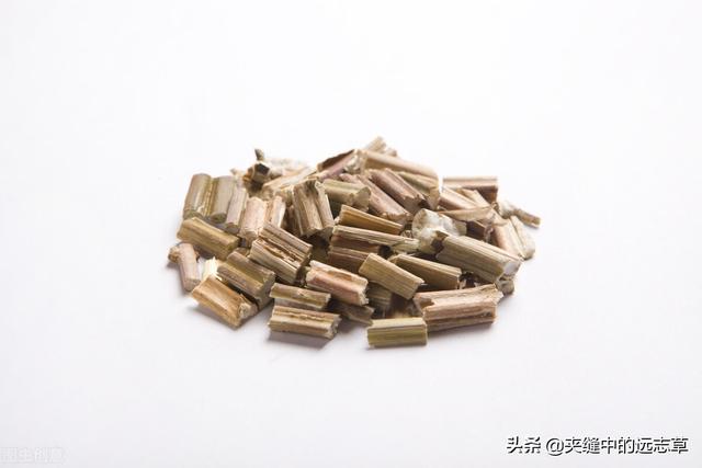 人身诸病，始于脾虚，聊一味白术，送给脾胃虚弱的你