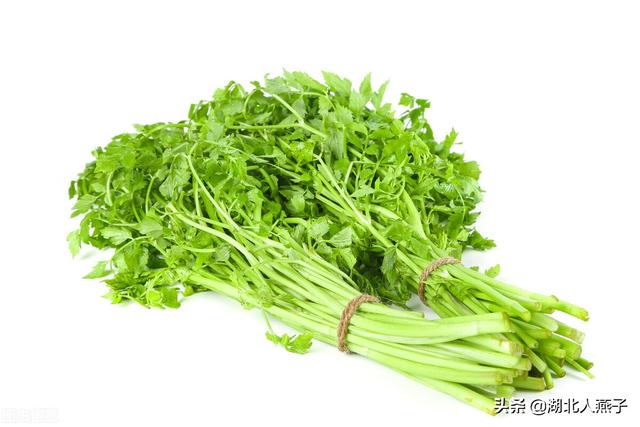 野菜的种类（野菜的种类和图片大全可食用）